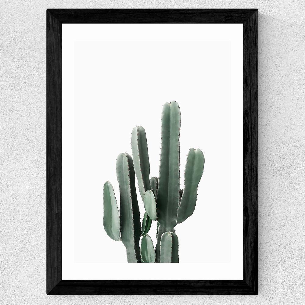 East End Prints Succulent Set 3
