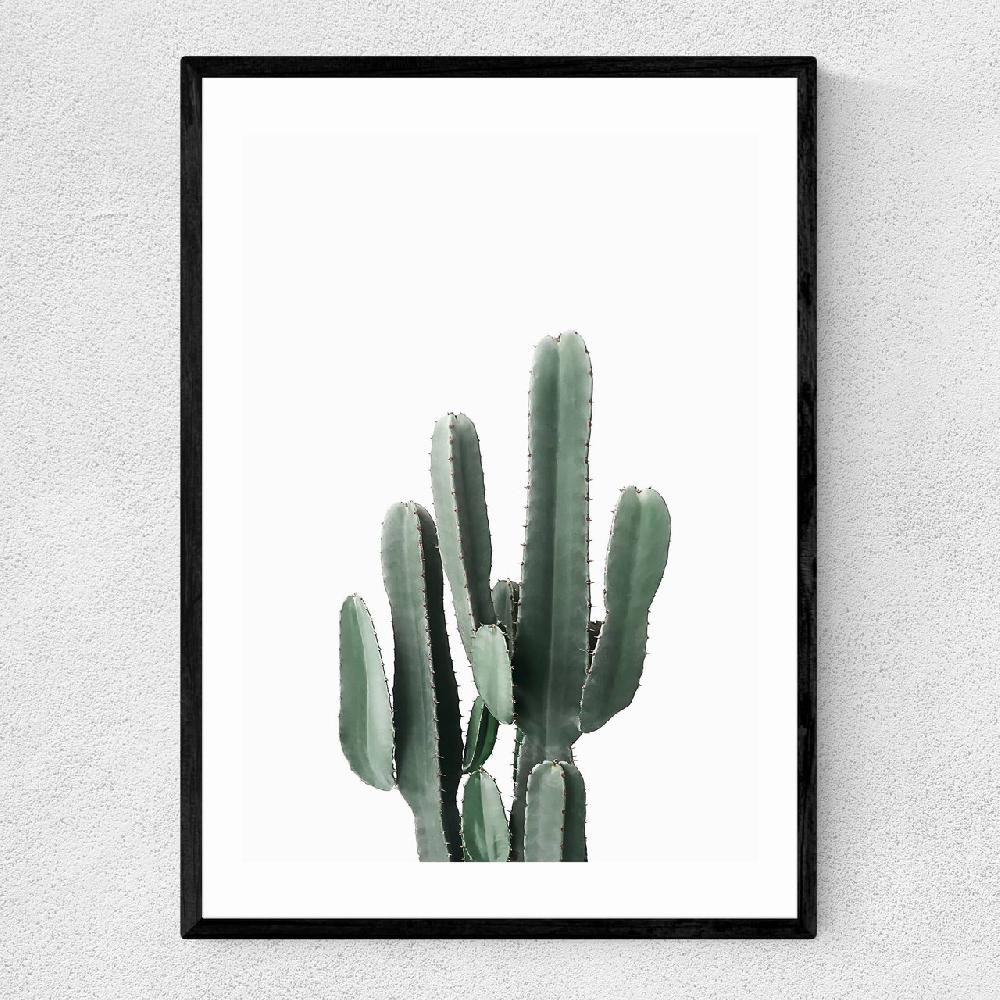 east end prints Succulent Set 3