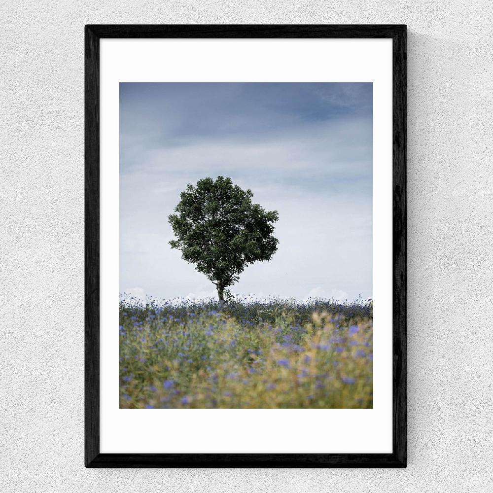 East End Prints Summer Meadow