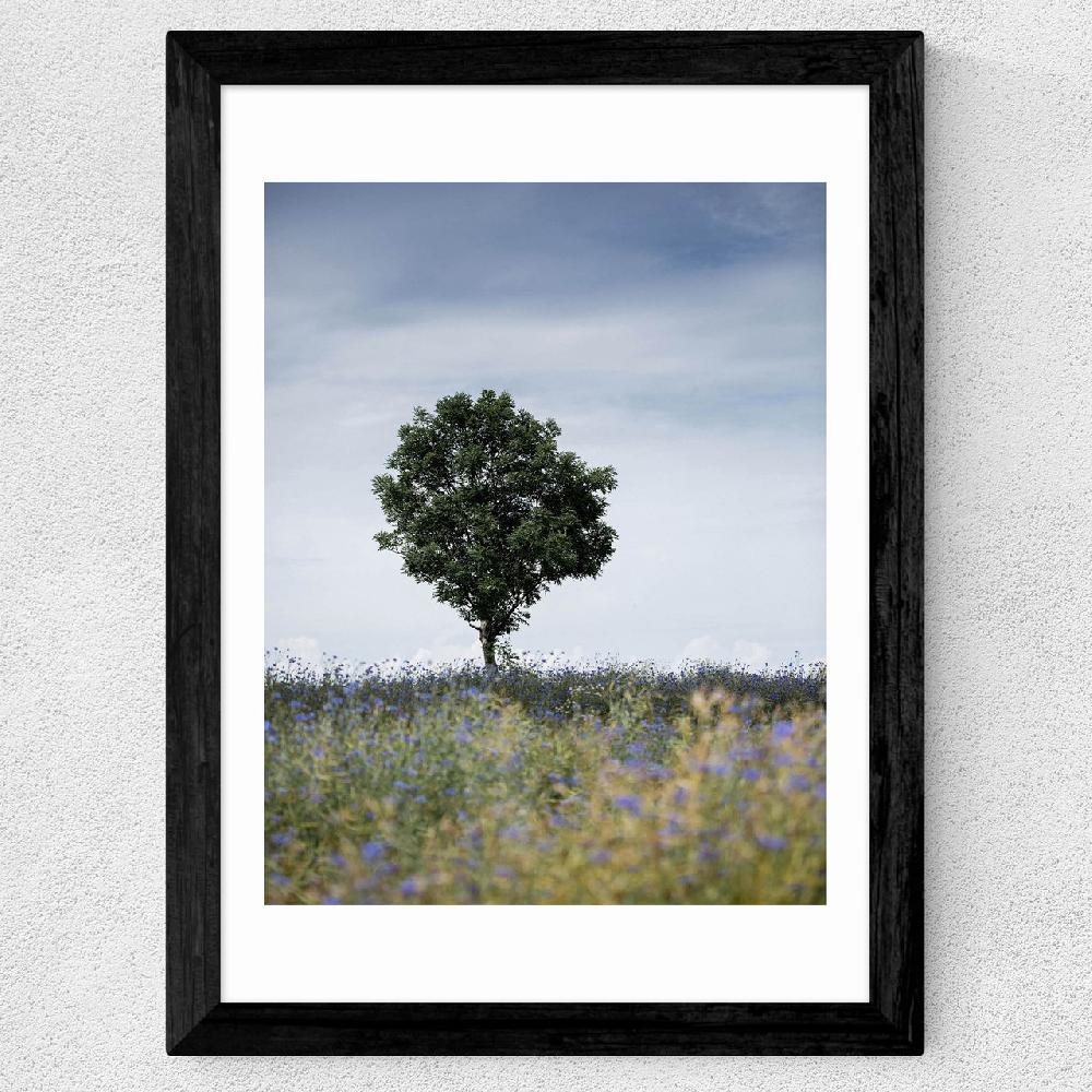 East End Prints Summer Meadow