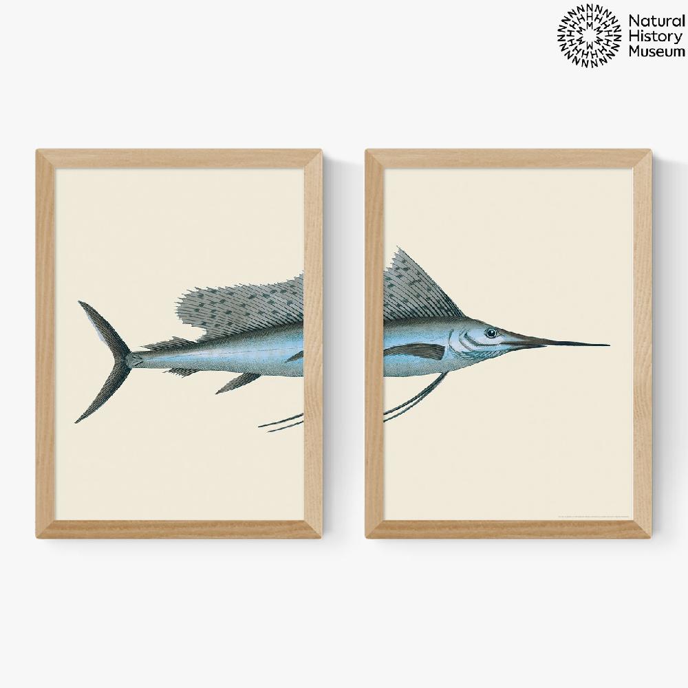 East End Prints Swordfish Diptych