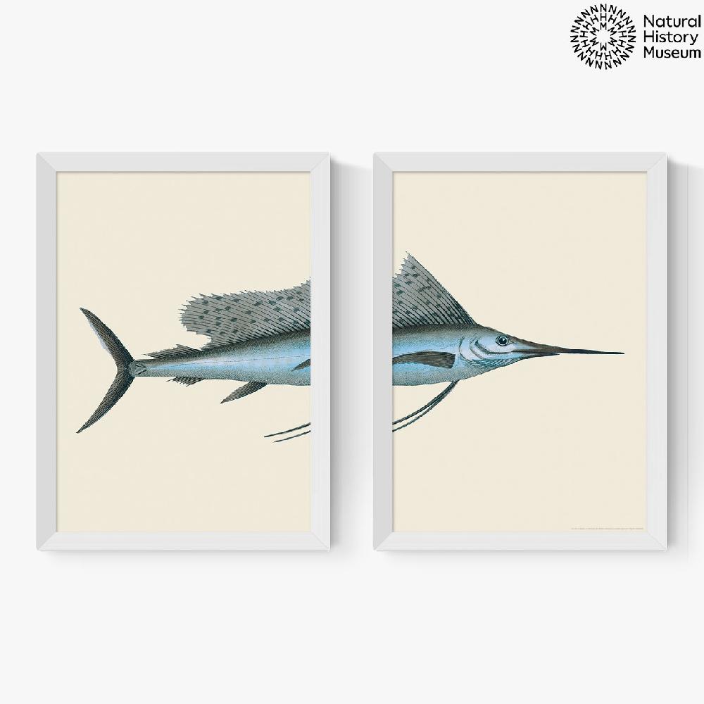 East End Prints Swordfish Diptych
