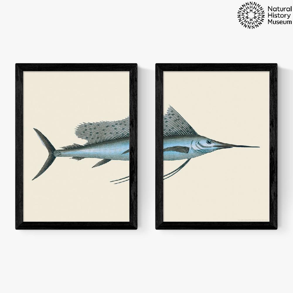 east end prints Swordfish Diptych