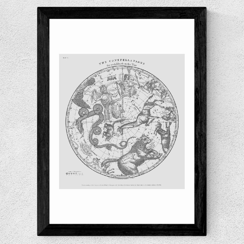 East End Prints The Constellations