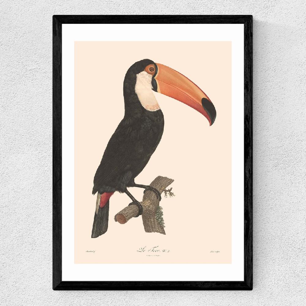East End Prints Toucan By Aster