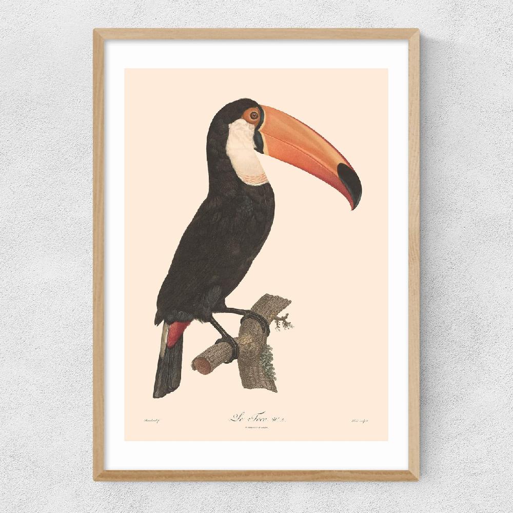 East End Prints Toucan By Aster