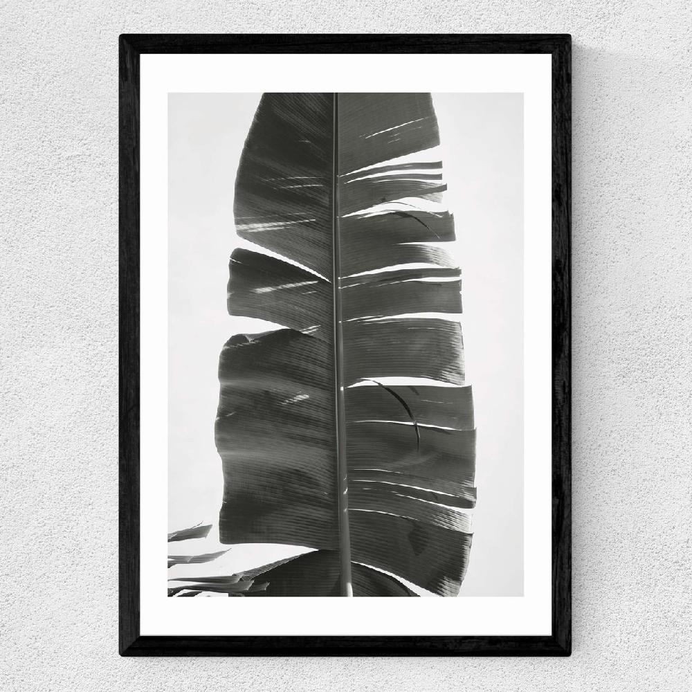 East End Prints Tropical Jungle Vibes