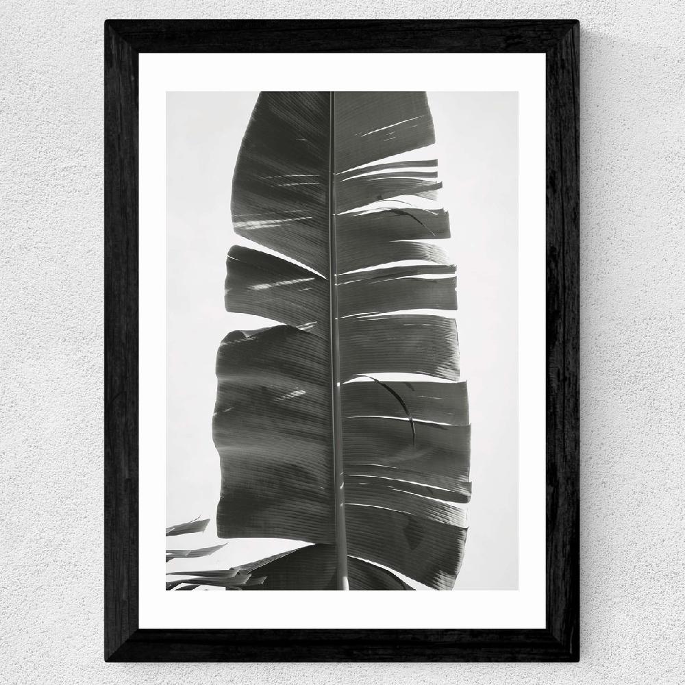 East End Prints Tropical Jungle Vibes