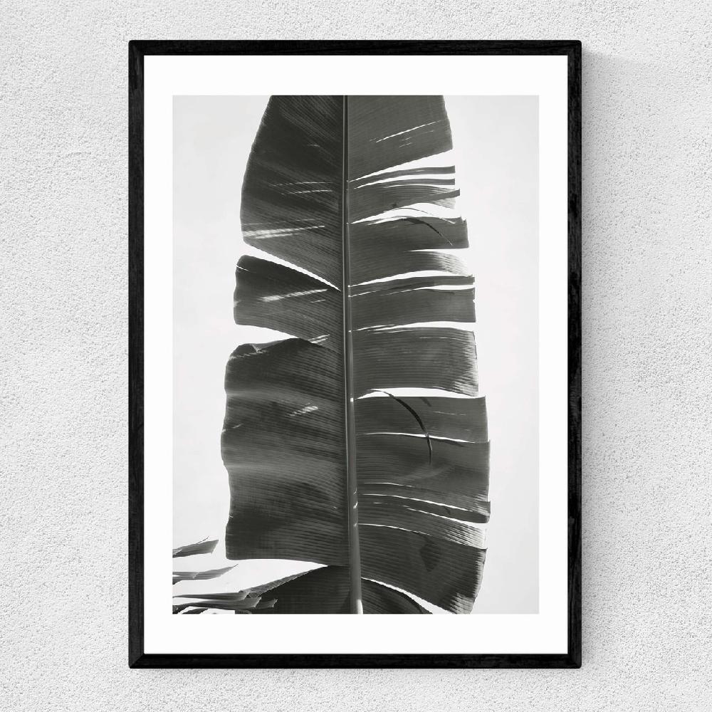 east end prints Tropical Jungle Vibes