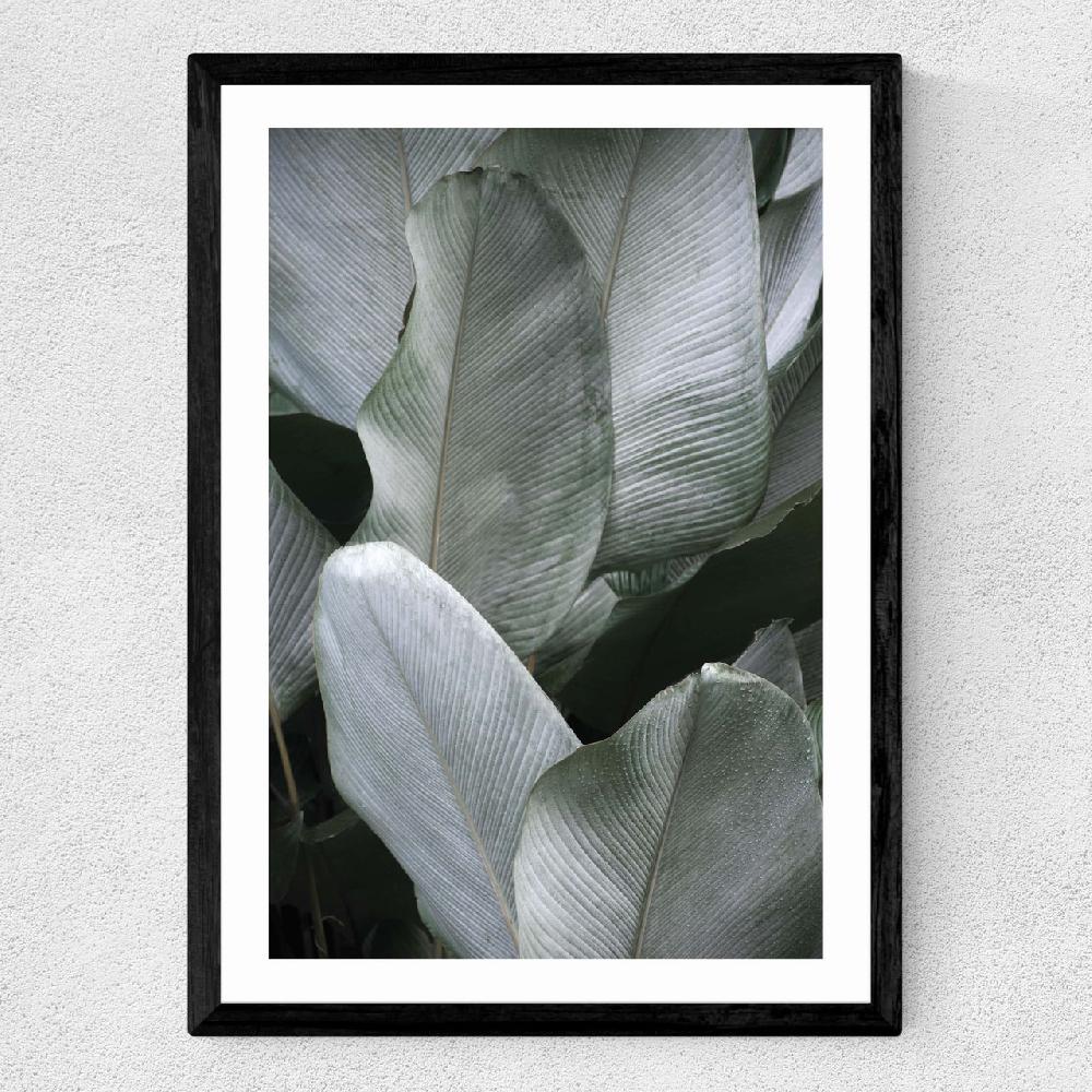 East End Prints Tropical Silver Leaves
