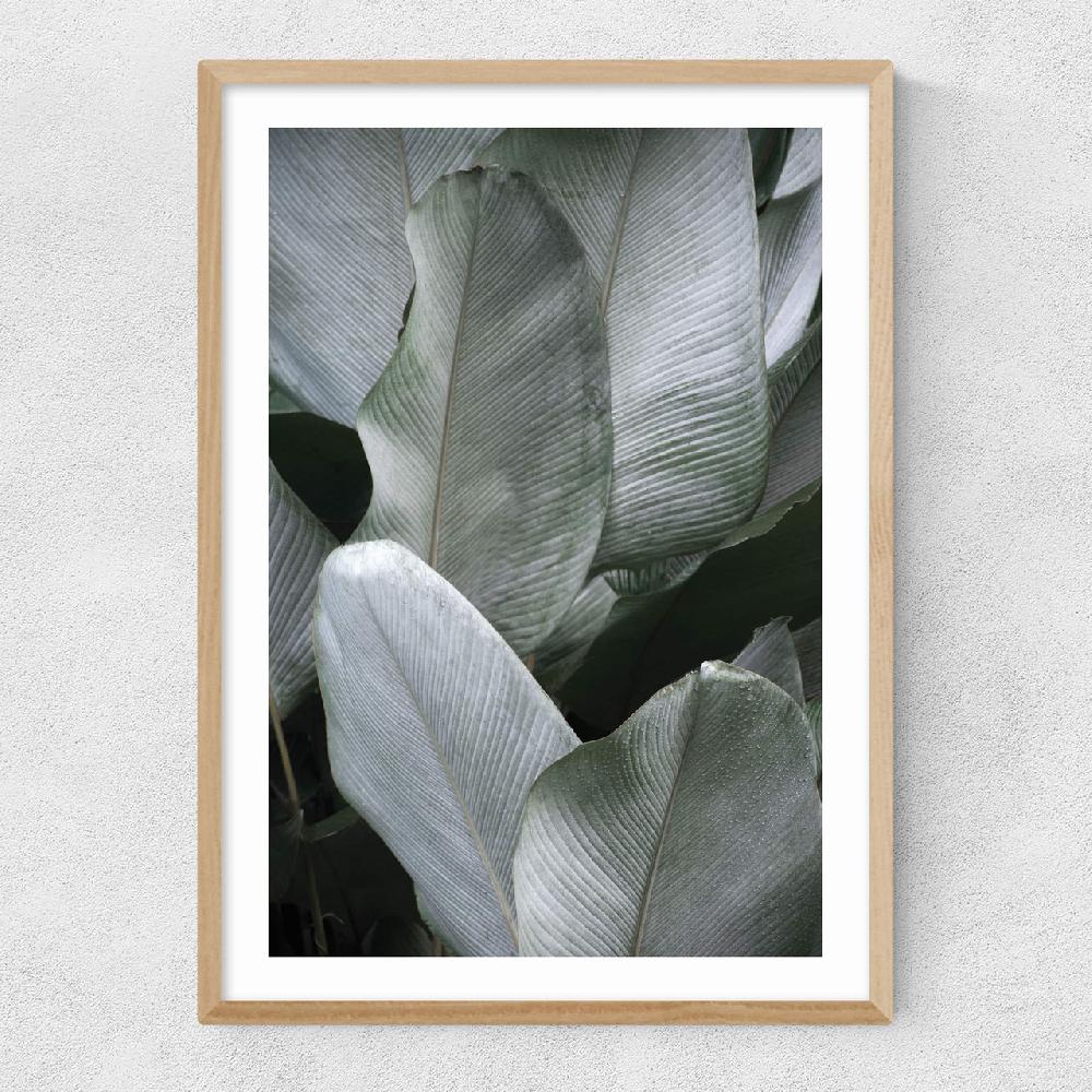 East End Prints Tropical Silver Leaves