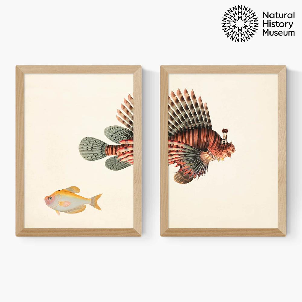 East End Prints Vintage Fish Diptych