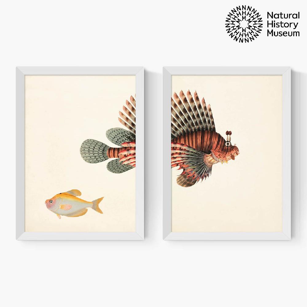 East End Prints Vintage Fish Diptych