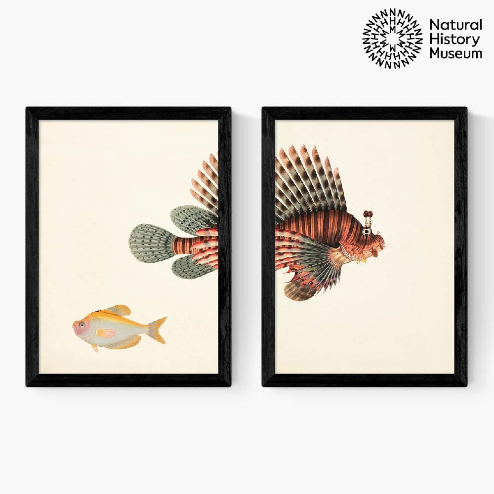 east end prints Vintage Fish Diptych