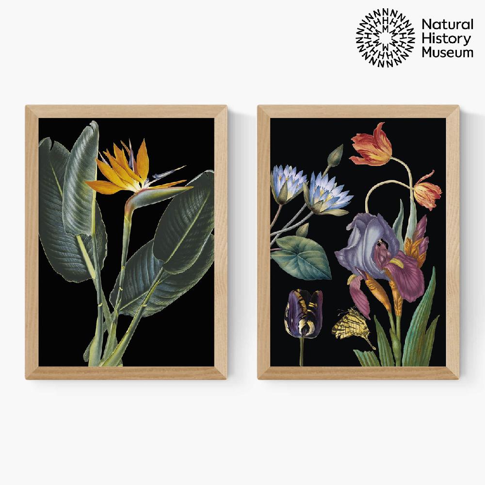 East End Prints Vintage Florals Diptych