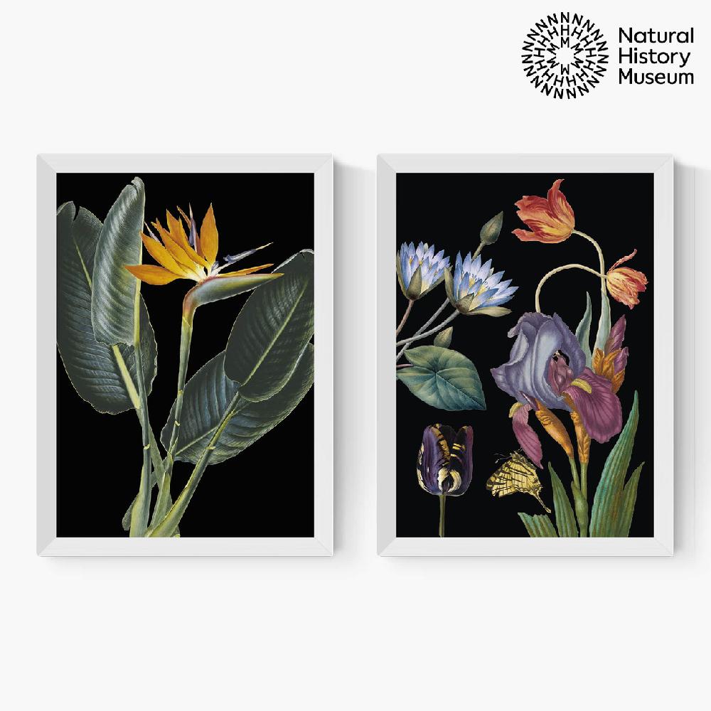 East End Prints Vintage Florals Diptych