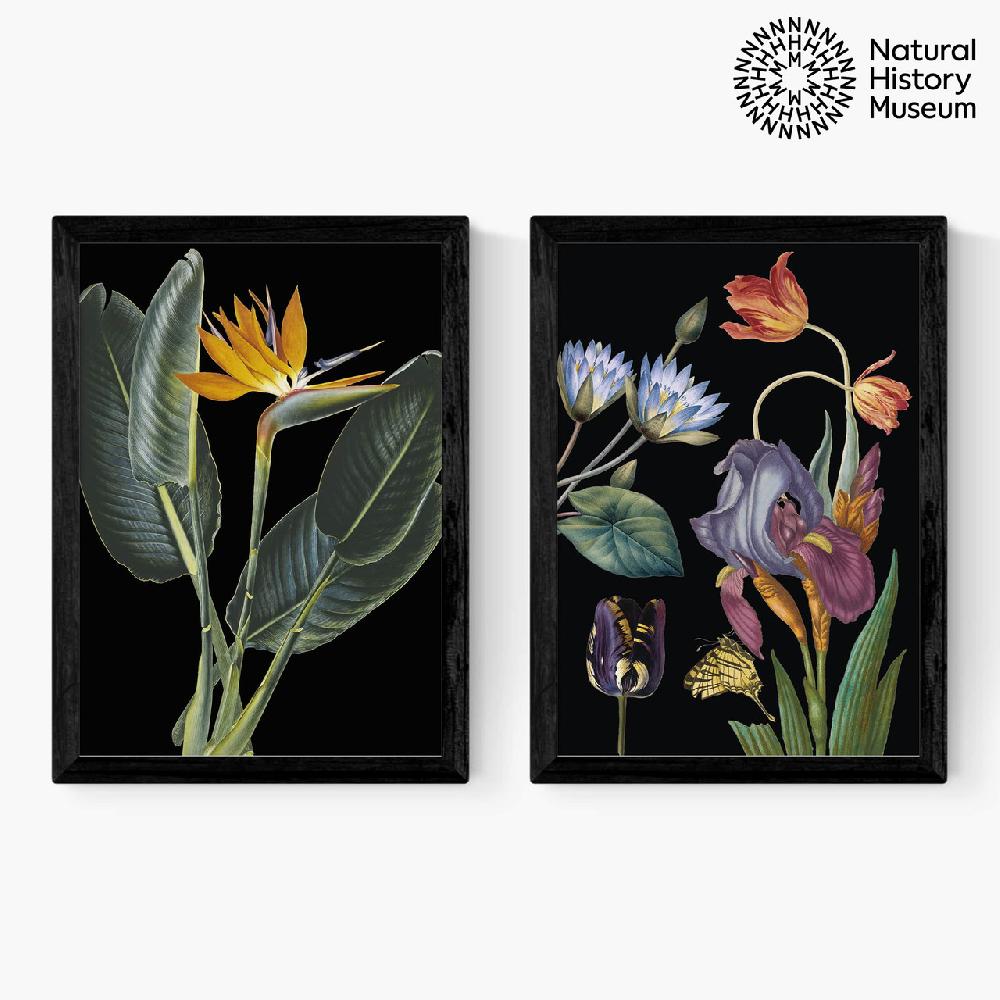 east end prints Vintage Florals Diptych