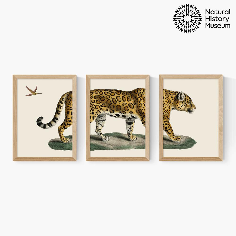 East End Prints Vintage Jaguar Triptych