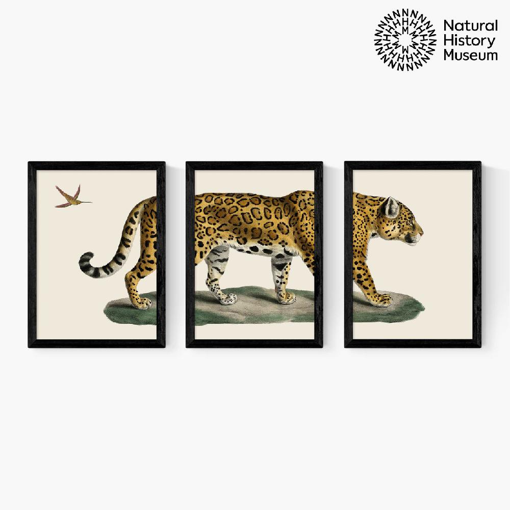 east end prints Vintage Jaguar Triptych