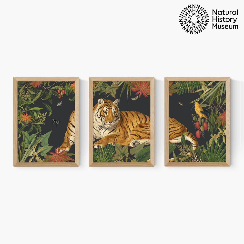 East End Prints Vintage Tiger Triptych