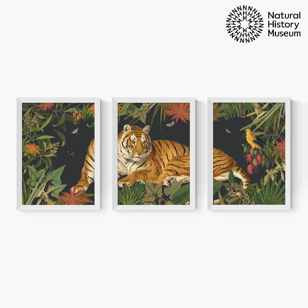 East End Prints Vintage Tiger Triptych