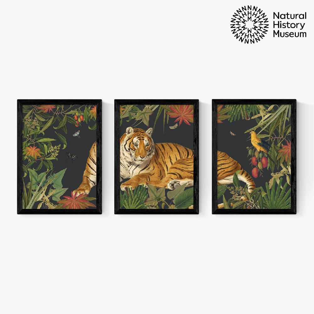 east end prints Vintage Tiger Triptych