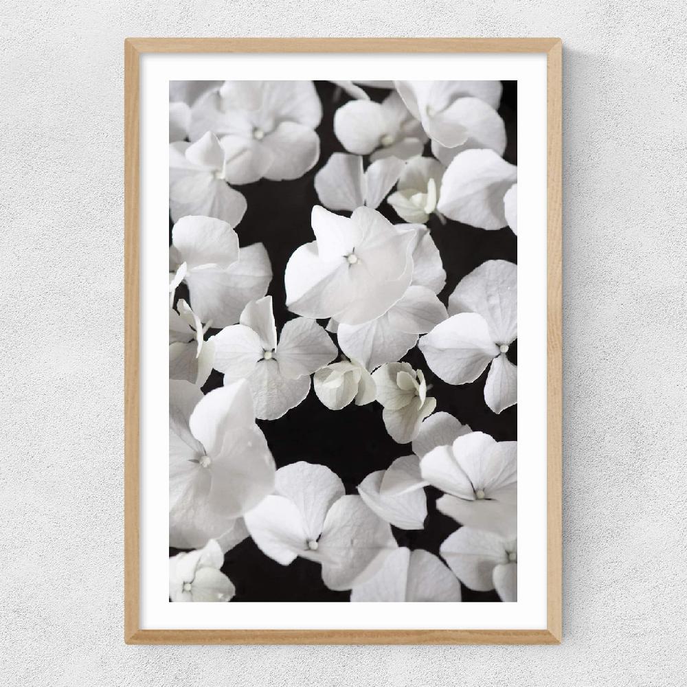 East End Prints White Beauty On Black