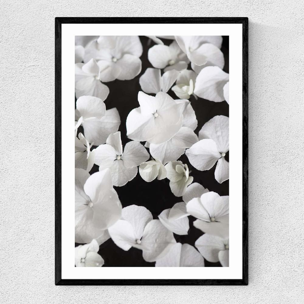 east end prints White beauty on Black