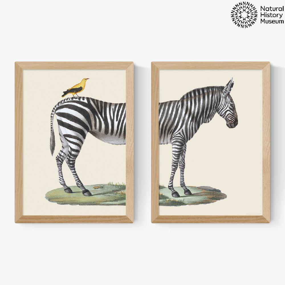 East End Prints Zebra Diptych