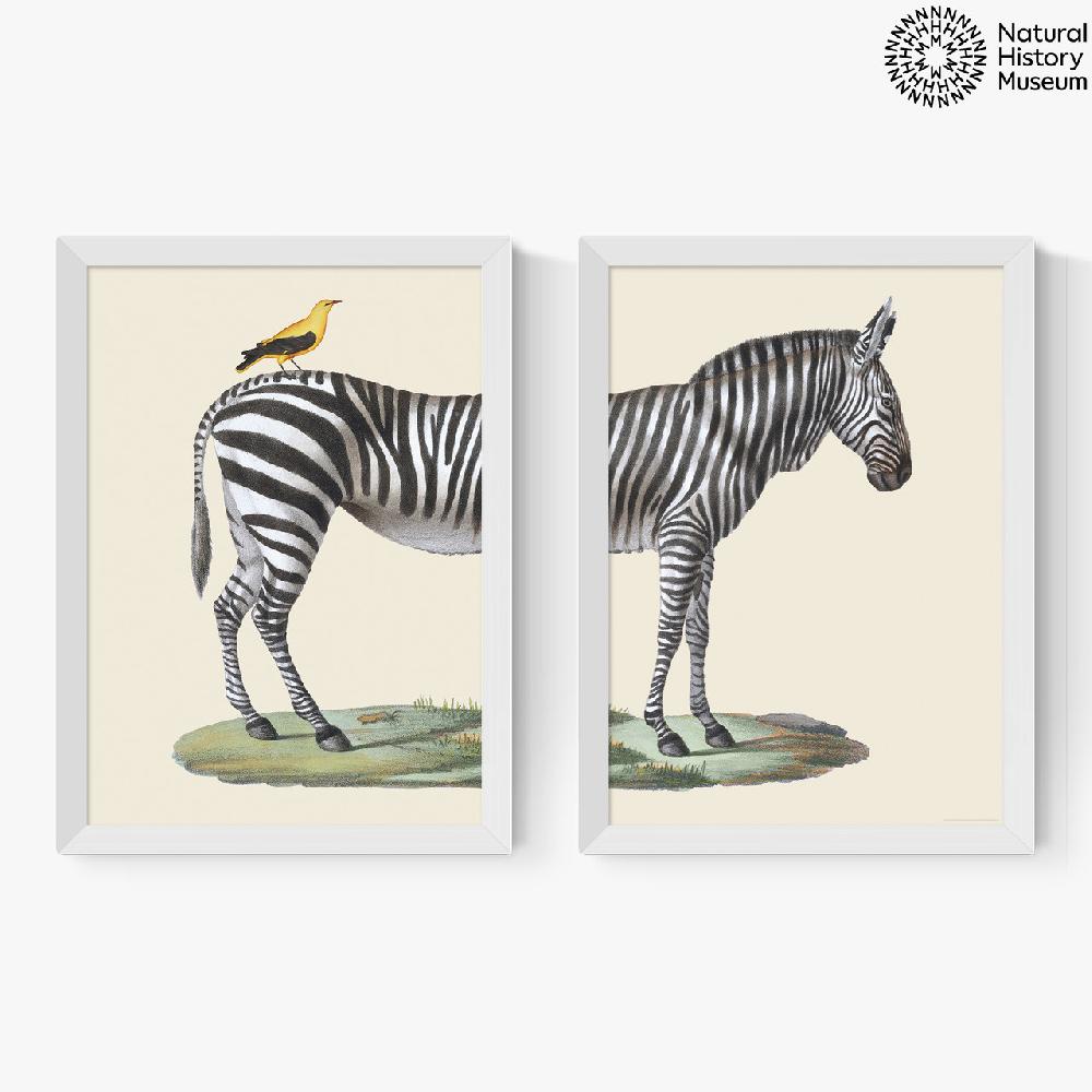 East End Prints Zebra Diptych