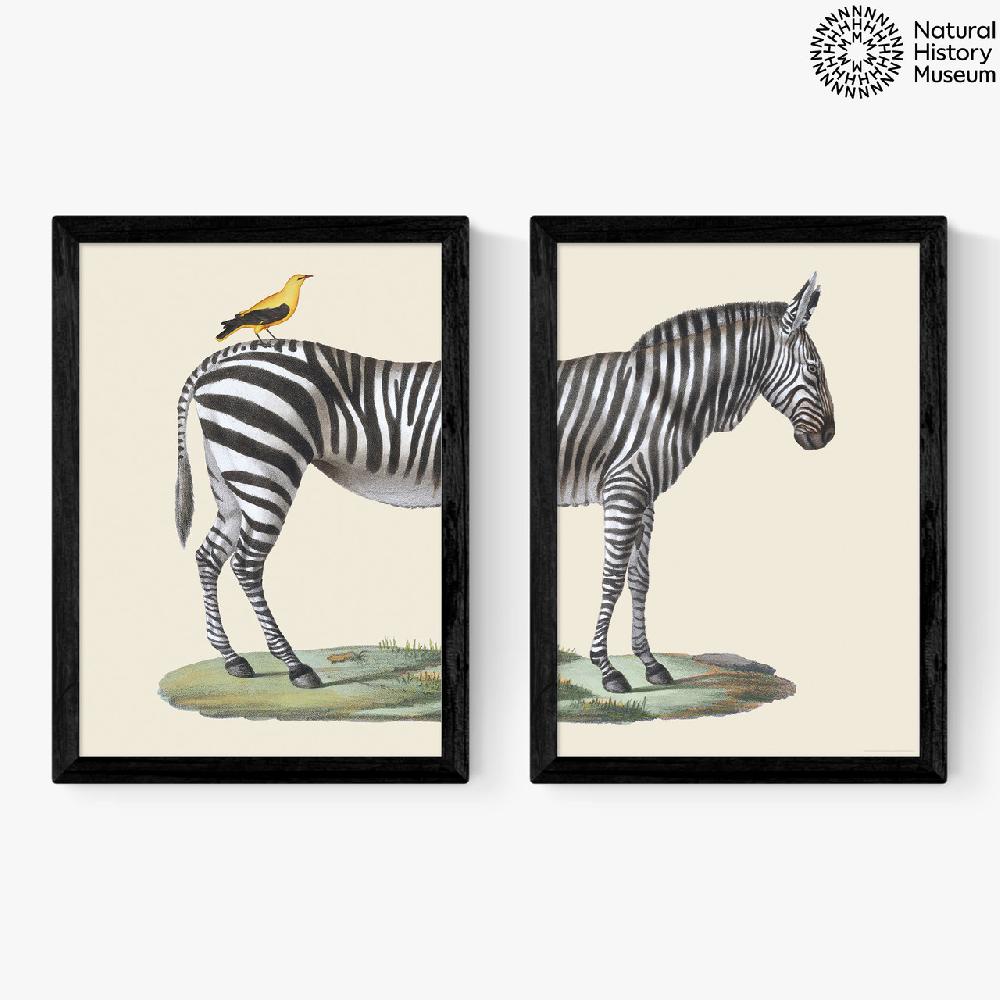 east end prints Zebra Diptych