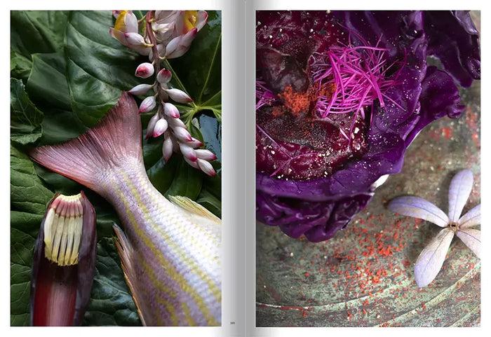 Eat Dust Book: Uxua Utopia A Very Gifted Guesthouse