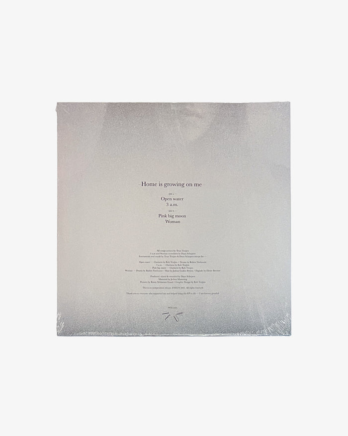 Eat Dust EP - Teun : Home Is Growing On Me