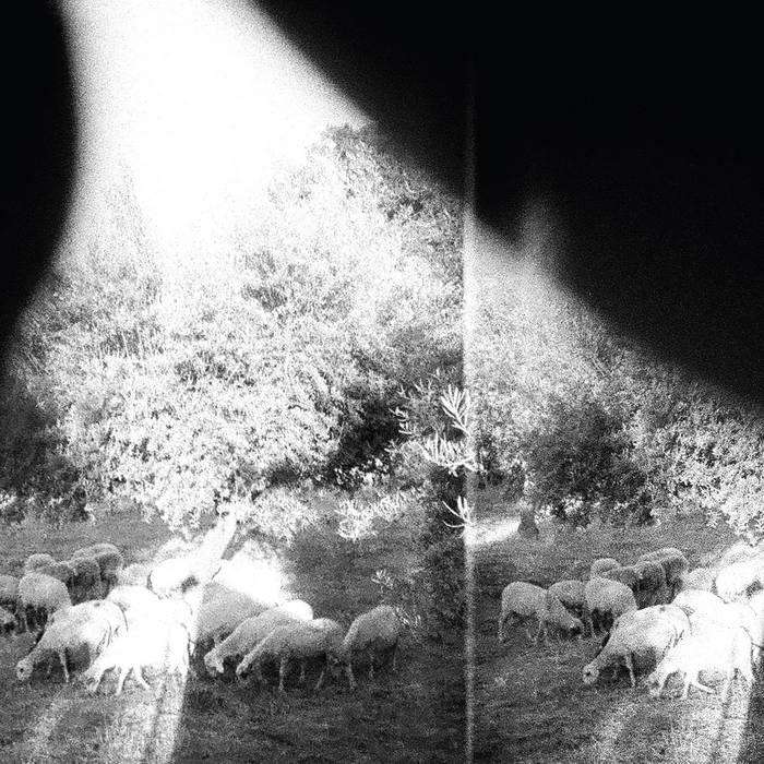 eat dust LP - Godspeed You Black Emperor : Asunder Sweet & Other Distress