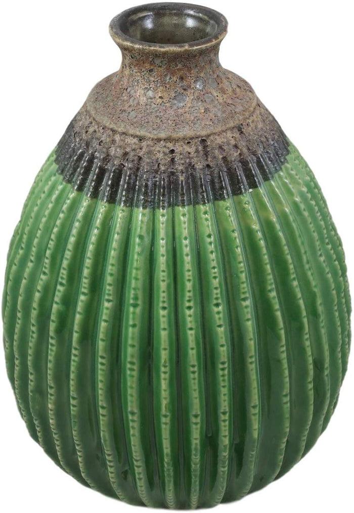 Ebros Gift 11"Tall Glazed Ceramic Southwestern Desert Bulbous Cactus Oval Floral Vase