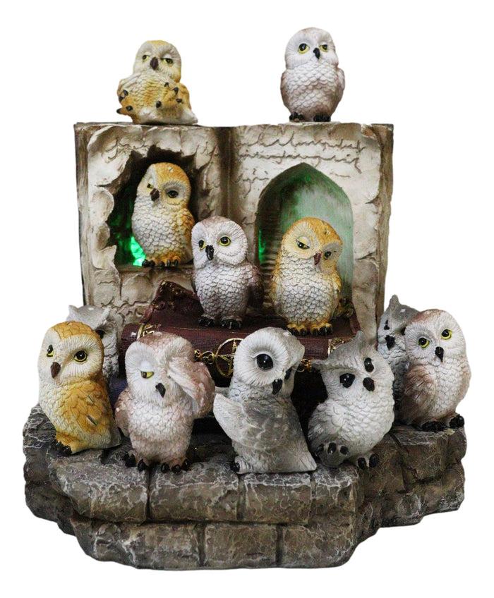 ebros gift 12 Colorful Mini Owls On Pentagram Spell Books With Secret Caverns LED Display