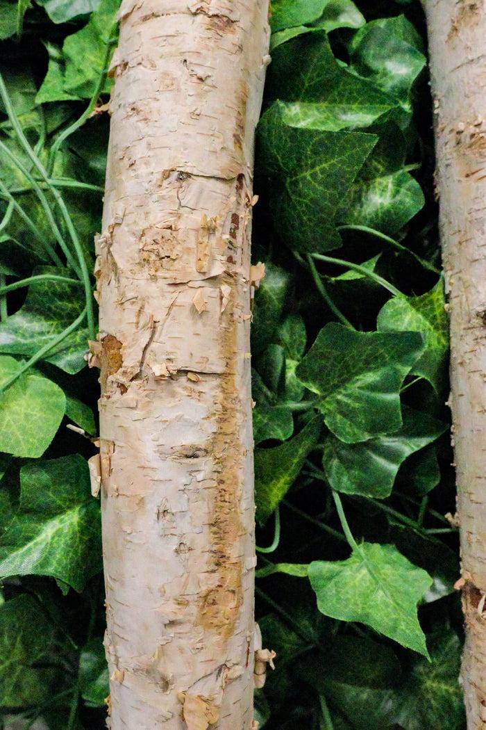 Ebros Gift 2" Thick Decorative Unfinished Wood Birch Poles Logs Branches 5 Ft Bundle Of 4