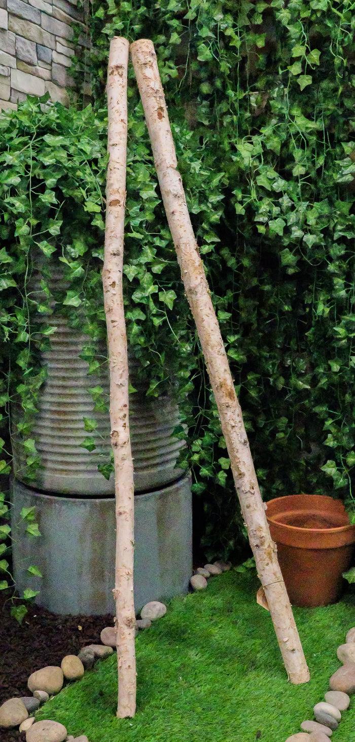 Ebros Gift 2" Thick Decorative Unfinished Wood Birch Poles Logs Branches 5 Ft Bundle Of 4