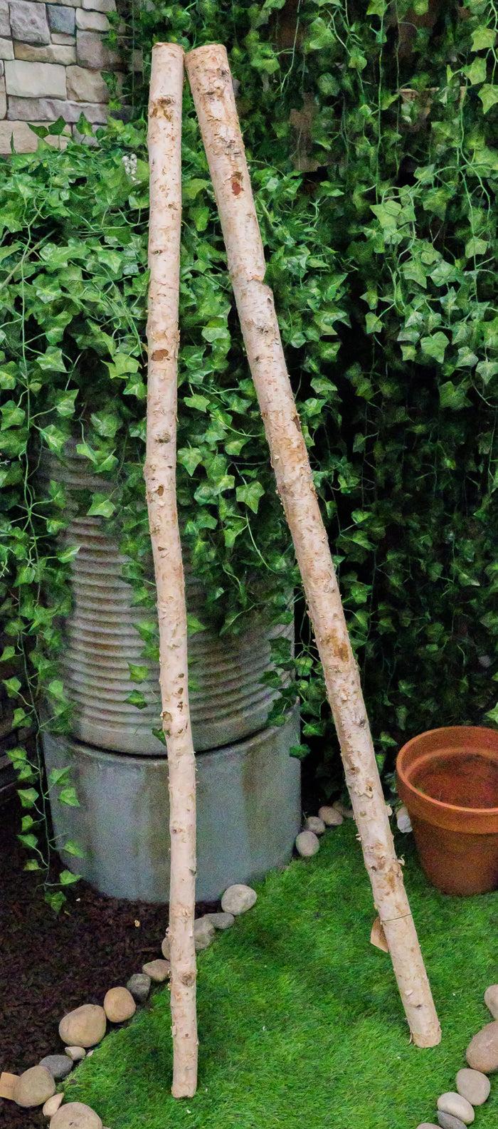 ebros gift 2" Thick Decorative Unfinished Wood Birch Poles Logs Branches 5 Ft Bundle Of 4