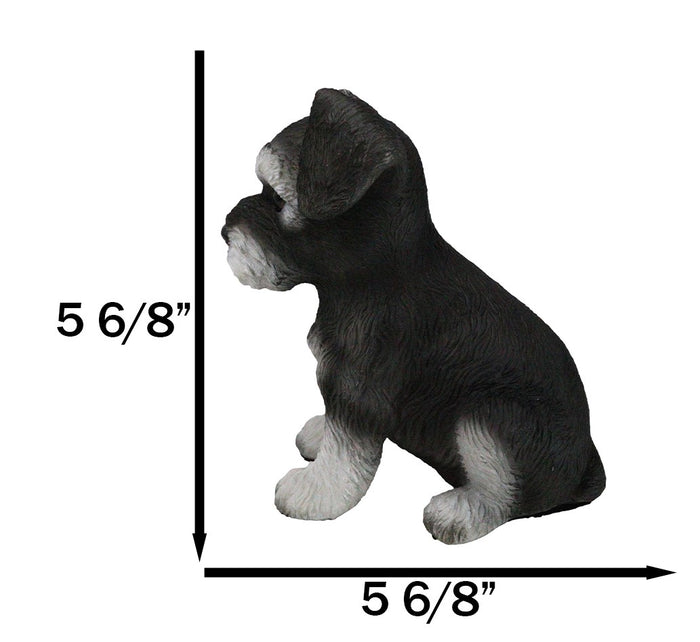 Ebros Gift Adorable Black And Silver Miniature Schnauzer Puppy Dog Home Decor Figurine