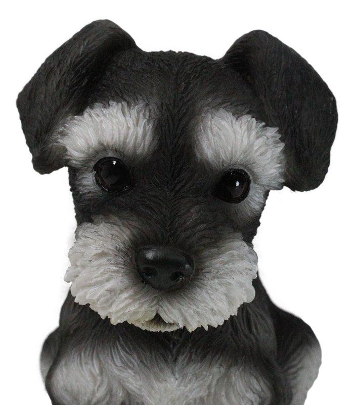 Ebros Gift Adorable Black And Silver Miniature Schnauzer Puppy Dog Home Decor Figurine