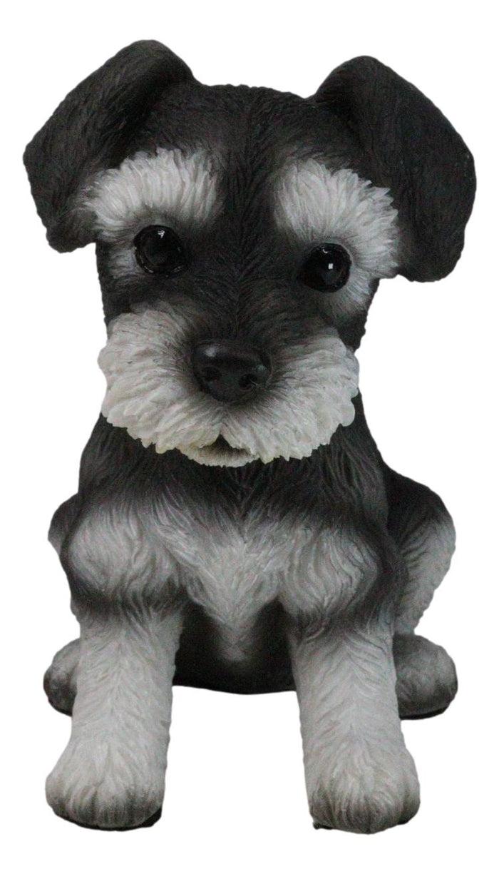 ebros gift Adorable Black and Silver Miniature Schnauzer Puppy Dog Home Decor Figurine