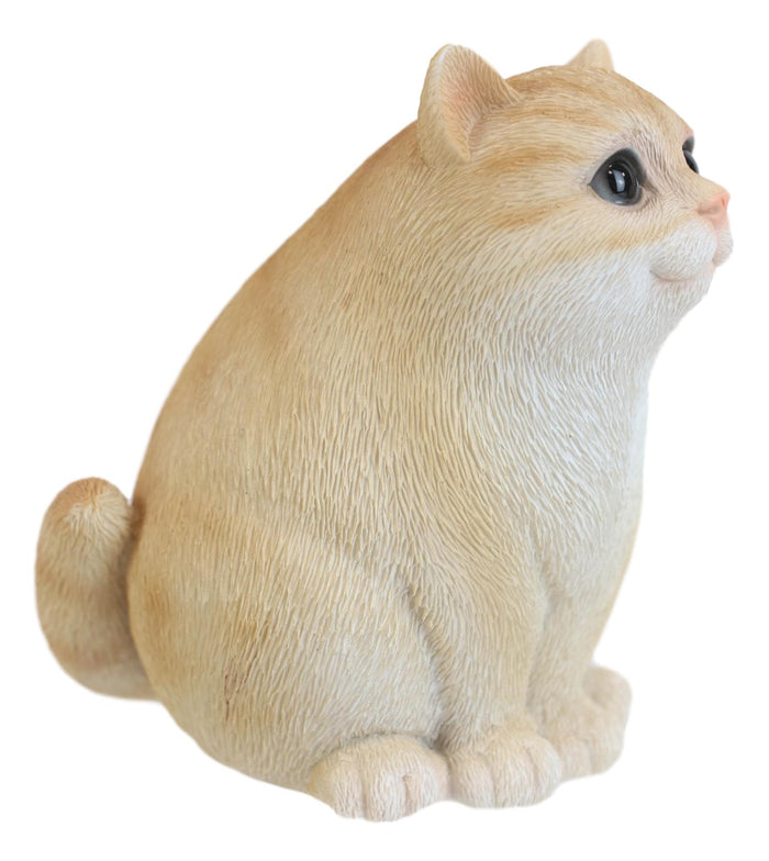 Ebros Gift Adorable Feline Tabby Striped Fat Cat Kitten Figurine 4"H Miniature Lucky Cats
