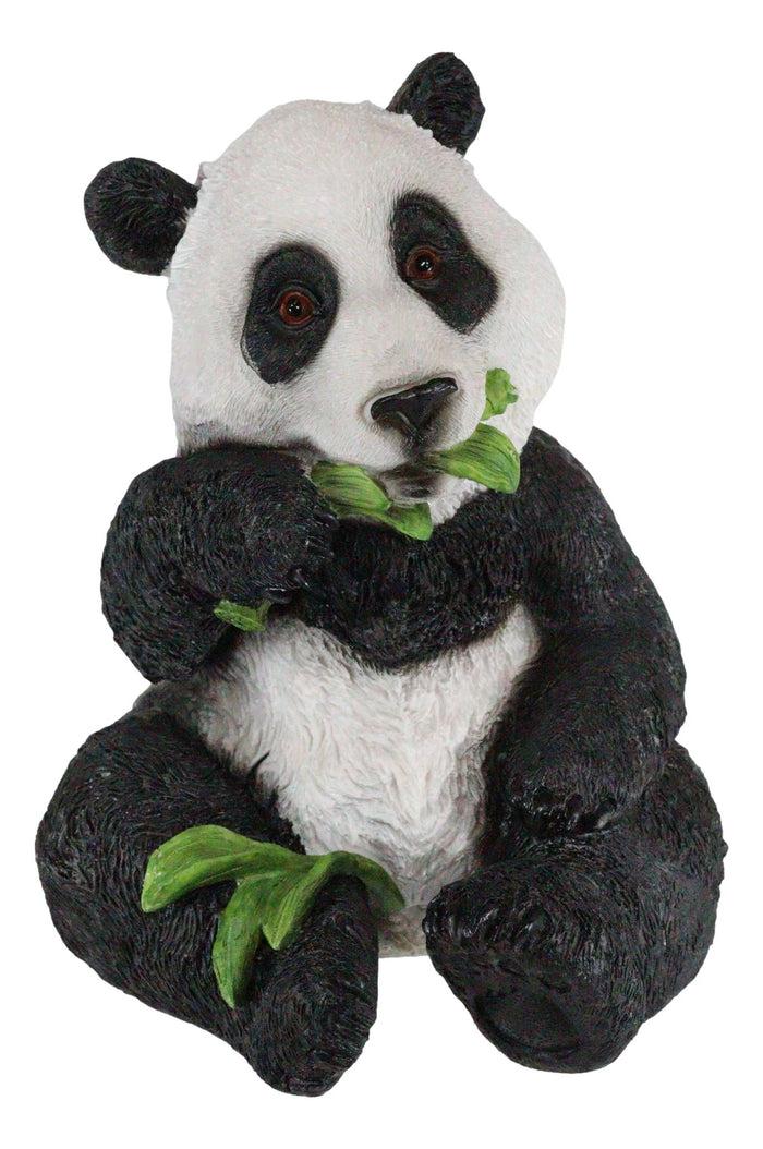 Ebros Gift Adorable Giant Panda Bear Cub Eating Bamboo Leaves Figurine With Glass Eyes