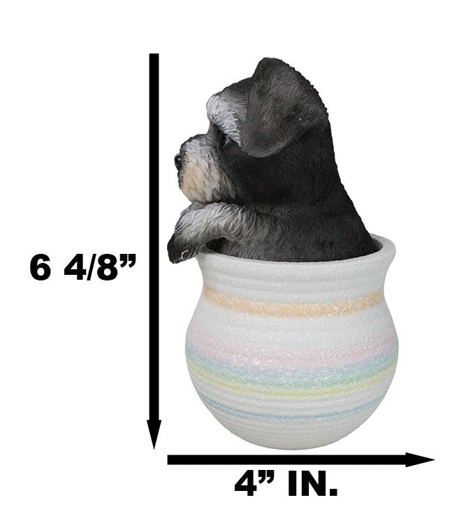 Ebros Gift Adorable Grey Mini Schnauzer Puppy Dog Figurine With Glass Eyes Pup In Pot