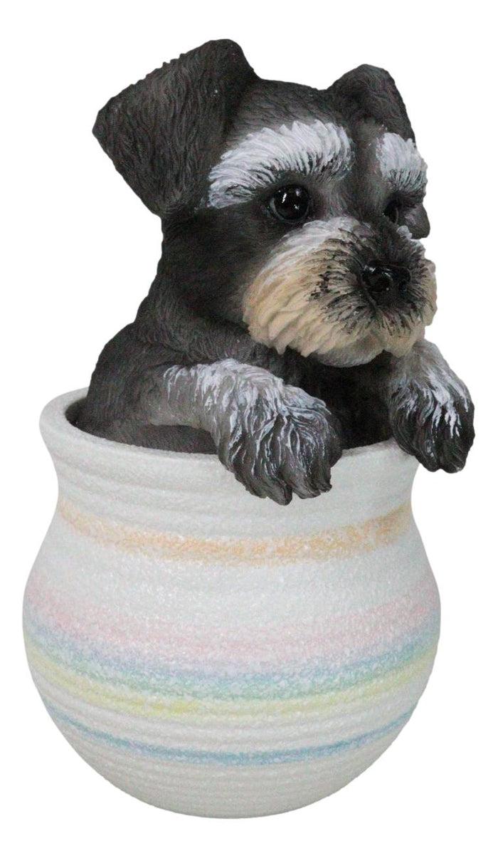 Ebros Gift Adorable Grey Mini Schnauzer Puppy Dog Figurine With Glass Eyes Pup In Pot