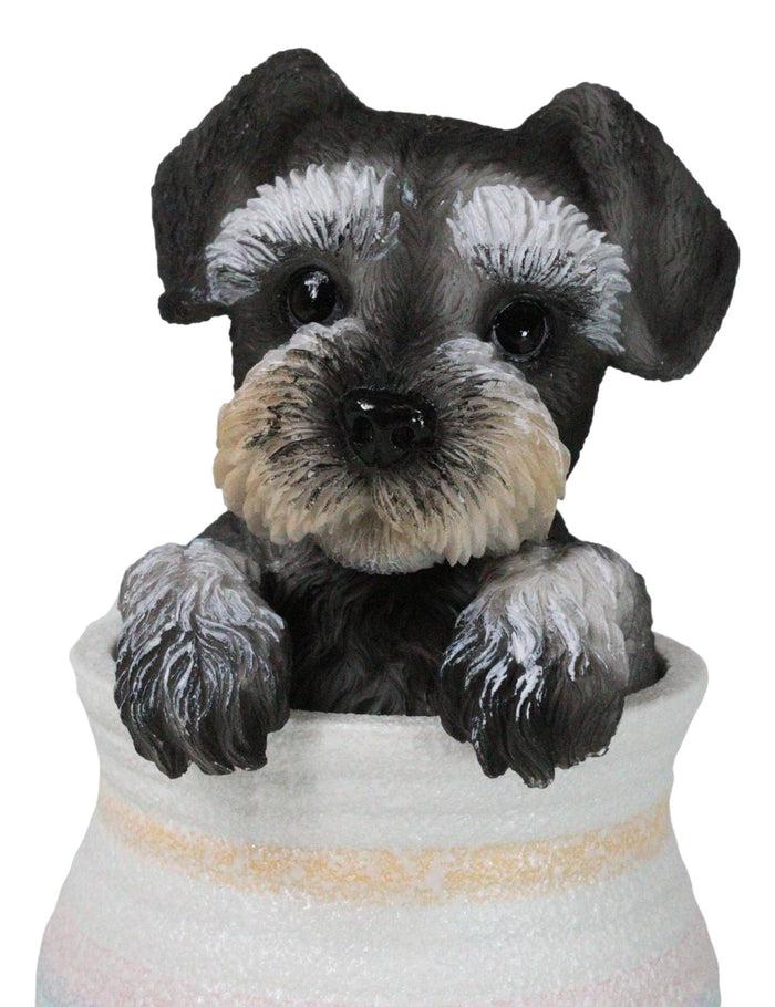 Ebros Gift Adorable Grey Mini Schnauzer Puppy Dog Figurine With Glass Eyes Pup In Pot