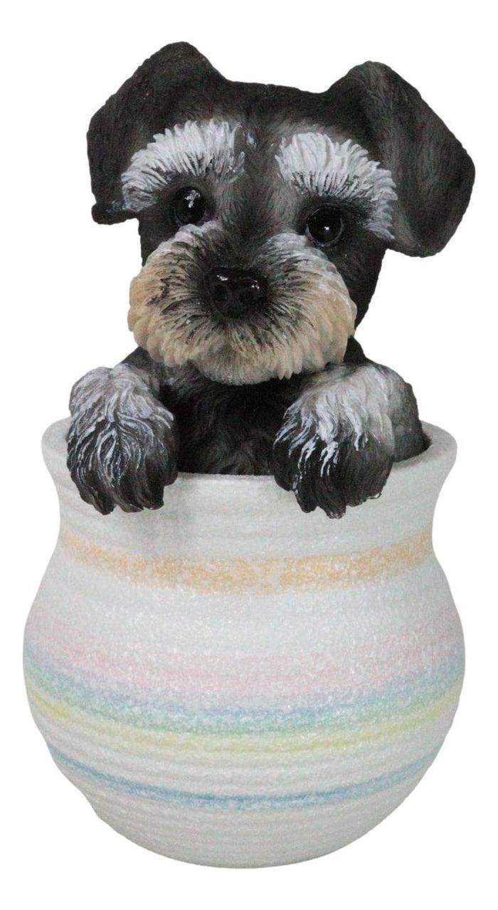 ebros gift Adorable Grey Mini Schnauzer Puppy Dog Figurine With Glass Eyes Pup In Pot
