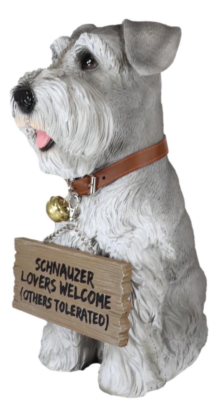 Ebros Gift Adorable Grey Schnauzer Dog Sitting With Jingle Collar Greetings Sign Statue