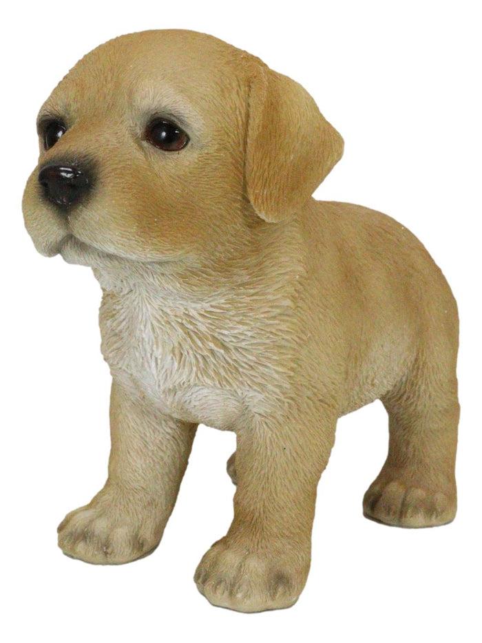 Ebros Gift Adorable Labrador Puppy Dog With Begging Glass Eyes Figurine Pet Pal Animal Art